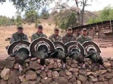 Turkey Hunting