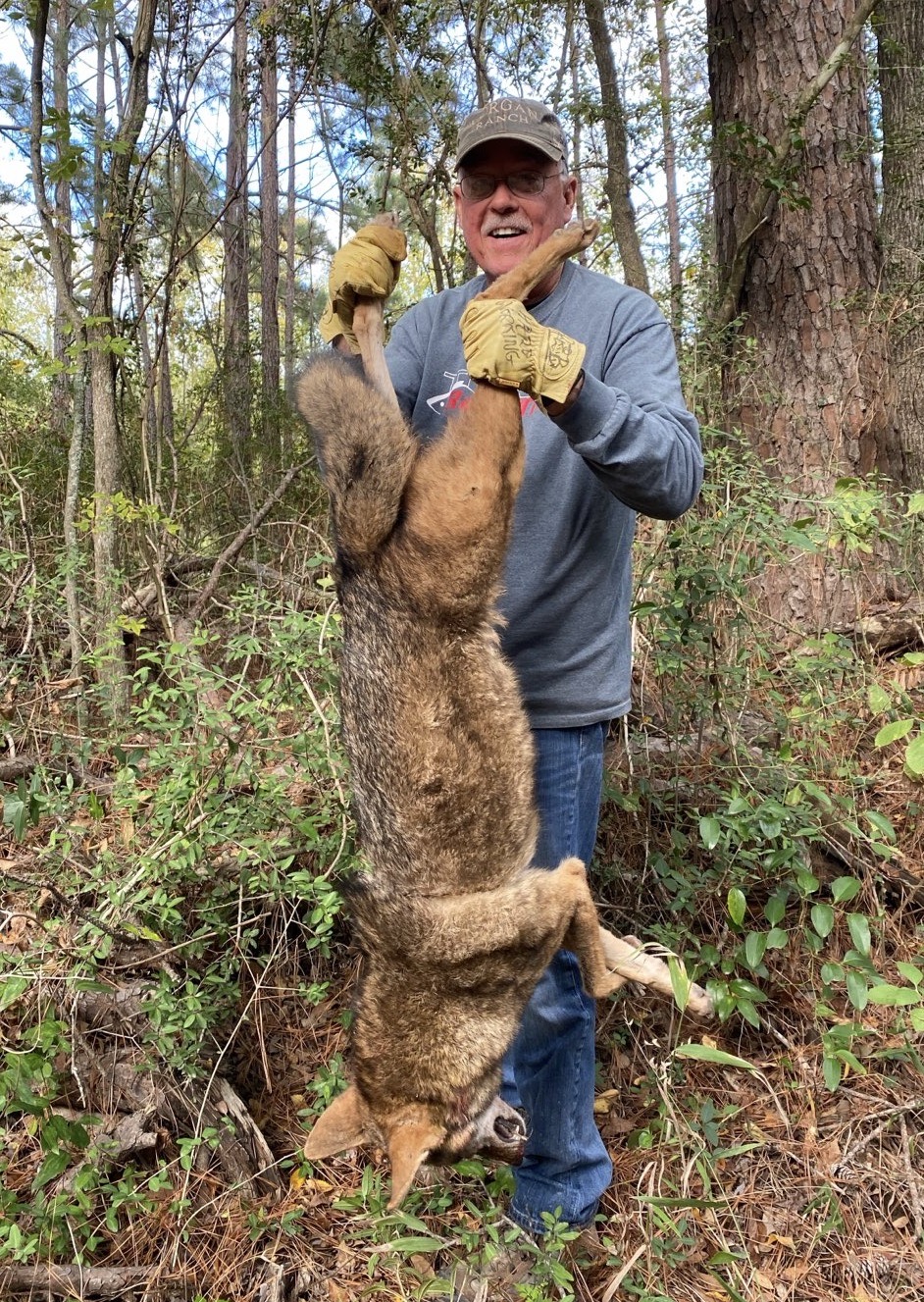 fox hunting in Texas